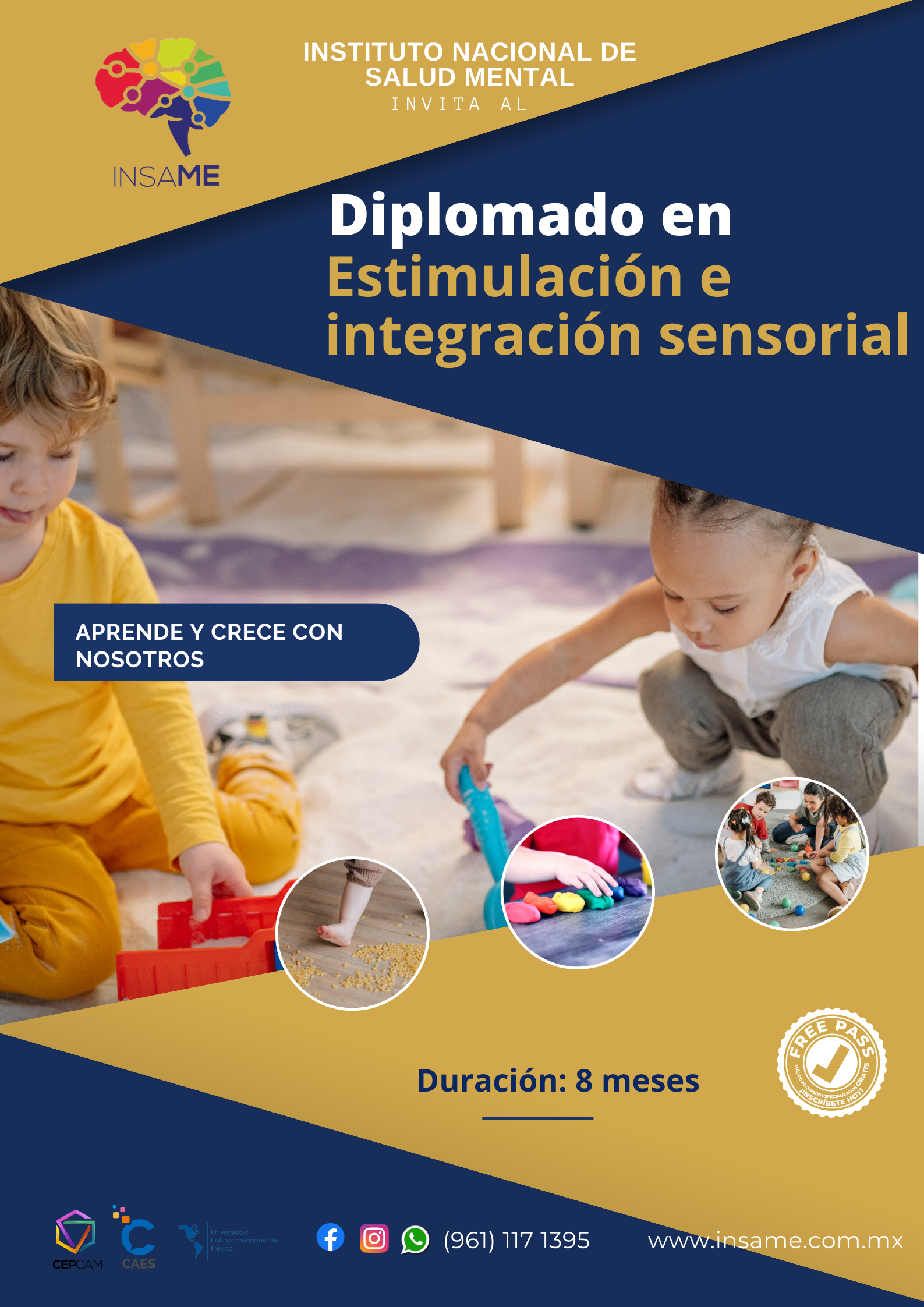 Diplomado Estimulación e integración sensorial 2